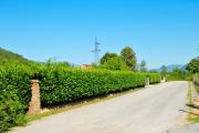 Top Danilovgrad