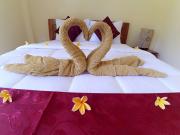 Sunrise coconut House