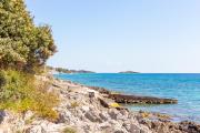 Top Alcudia