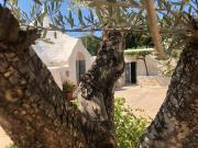 Top Ceglie Messapica