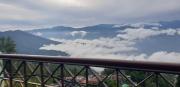 Top Darjeeling