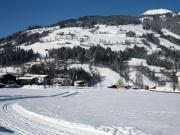 Top Westendorf