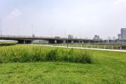 Top Taiyuan