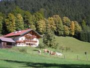 Am Ferienbauernhof Schmiedbauer com Salzkammergut