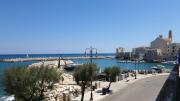 Top Giovinazzo