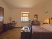 Top Arezzo Top Arezzo