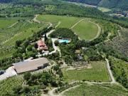 Top Arezzo Top Arezzo