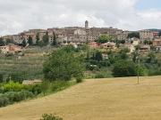 Top Montecchio