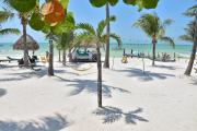 Top Isla Holbox