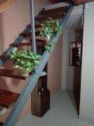 Top Junín