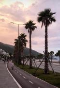 Top Vlorë