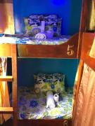 ALERTA ROOFTOP LODGE