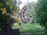 Top Maya del Baztán