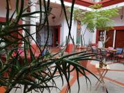 Top Oaxaca