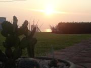 Top Acireale