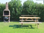 Top Moniga Top Moniga