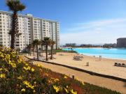 Top Algarrobo