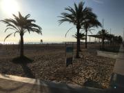 Top Playa de Gandia