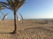 Top Playa de Gandia