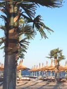 Top Mamaia Nord