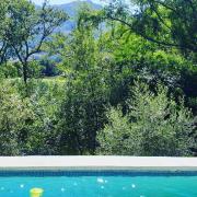 Little Willow Brooke