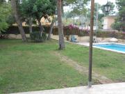Top Paterna