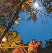 Top Doradal Top Doradal