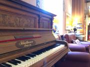 Top Rovereto Top Rovereto