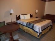 Top McAllen