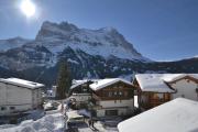 Top Grindelwald