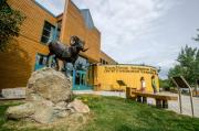 Top Whitehorse