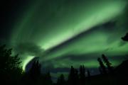 Top Whitehorse