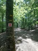 Top Saint-Amans-Valtoret