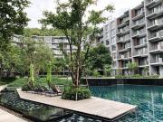 Top Ban Huai Sok Noi Top Ban Huai Sok Noi