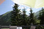 Top Berwang