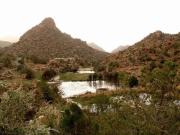 الركائز للشقق المخدومة