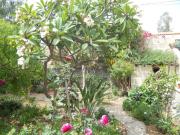 Top Granadilla de Abona