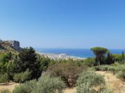 Top Erice Top Erice