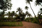 Top Diveagar