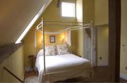Top New Marlborough