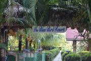 Top Havelock Island