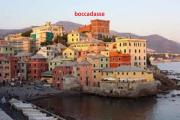 Top Genoa