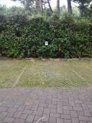 Top Villa Guardia
