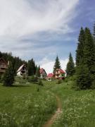 Top Žabljak Top Žabljak