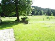 LES CŒURS DU TILLEUL