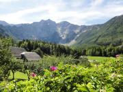 Makek Alpine Oasis