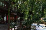 Top Lijiang