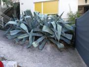 Top Crikvenica