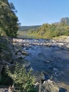 Top Myślenice Top Myślenice