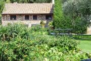 Top Velletri